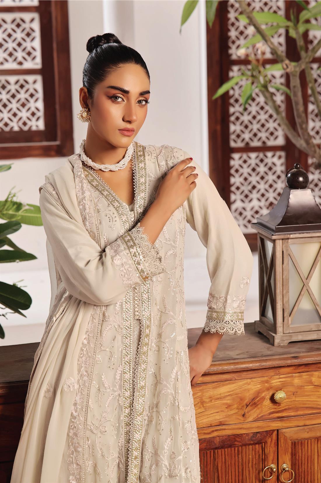 Beige Raw Silk Ladies Chiffon Embroidered Long Dress