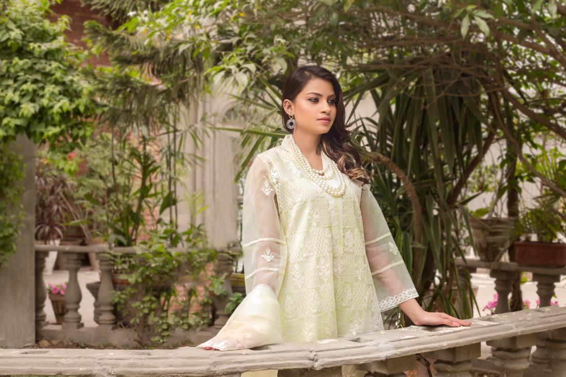 Cream Embroidered Organza Silhouette with Dupatta & Silk Pants