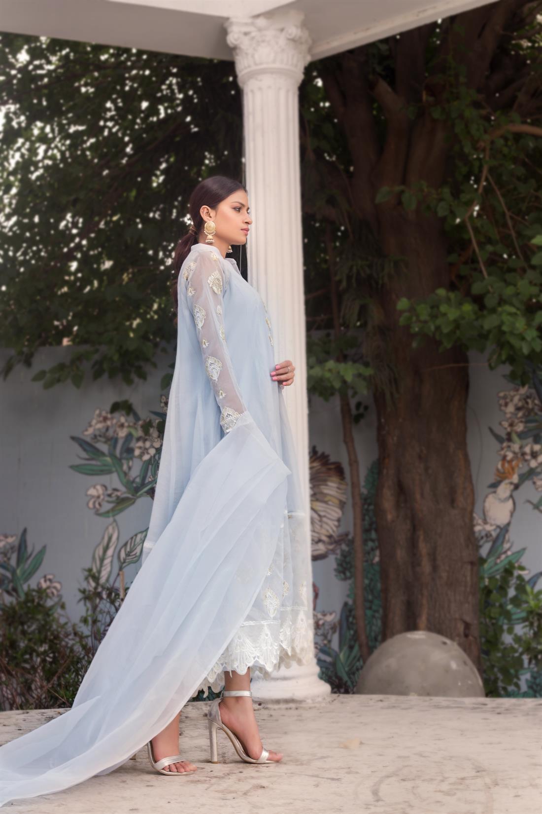 Ice Blue Organza Zoya Collections