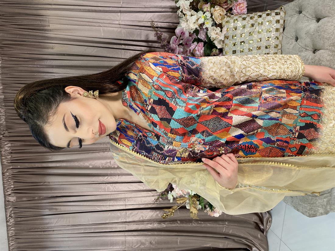 Multicolour Embroidered Organza Ladies Readymade