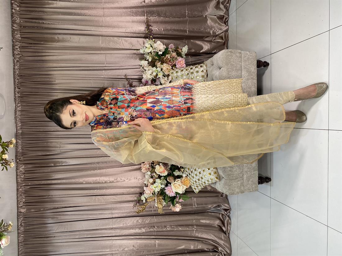 Multicolour Embroidered Organza Ladies Readymade