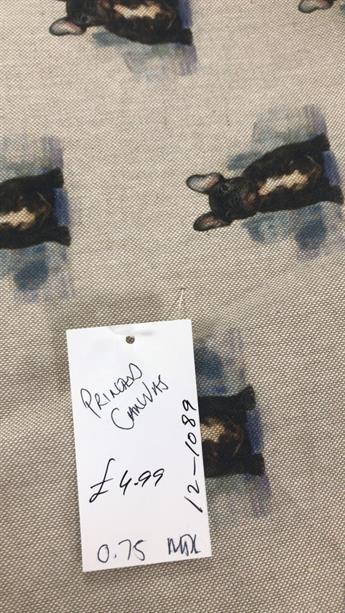 Printed Canvas