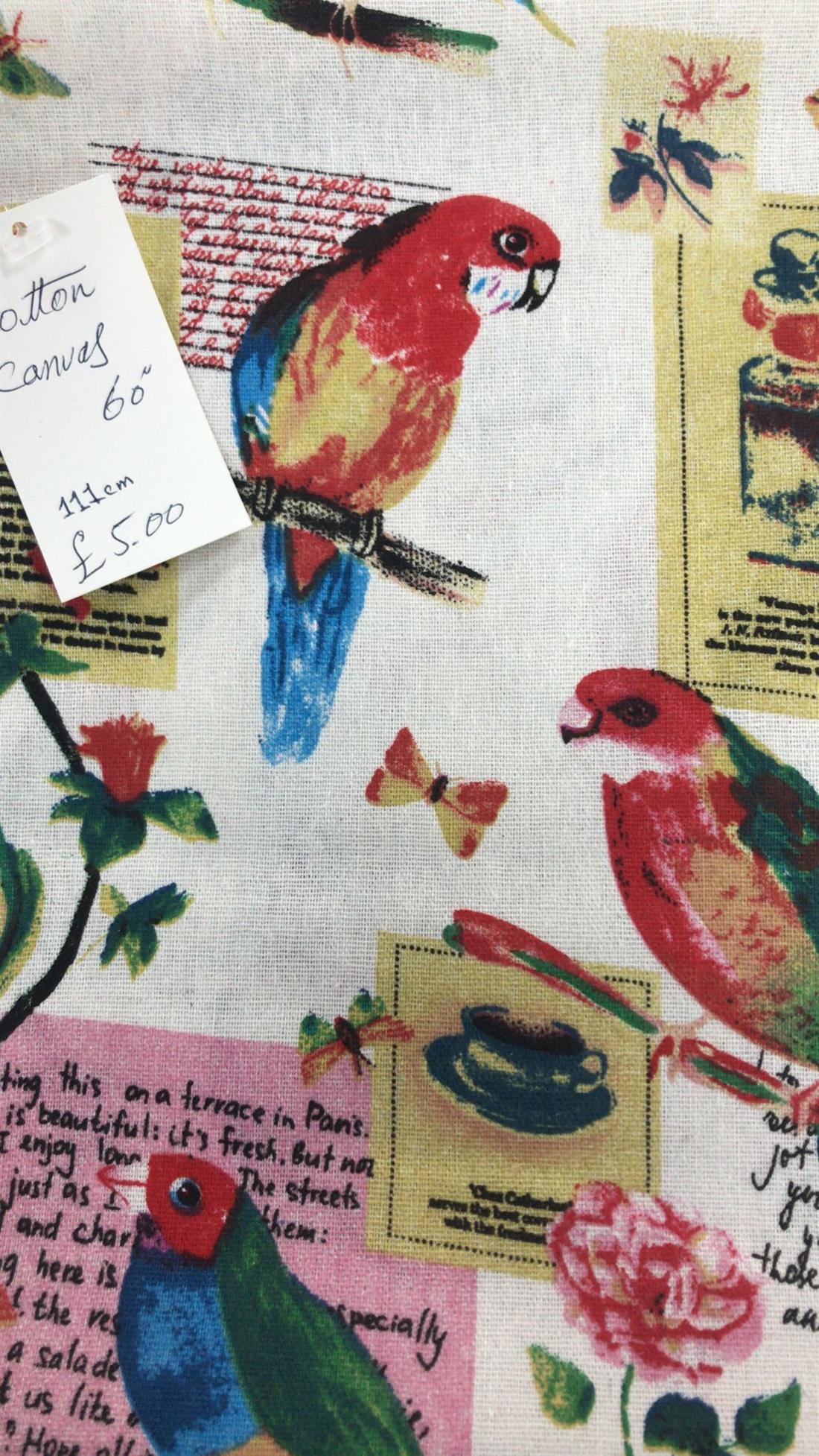 Multicolour Colour Cotton Canvas 60"