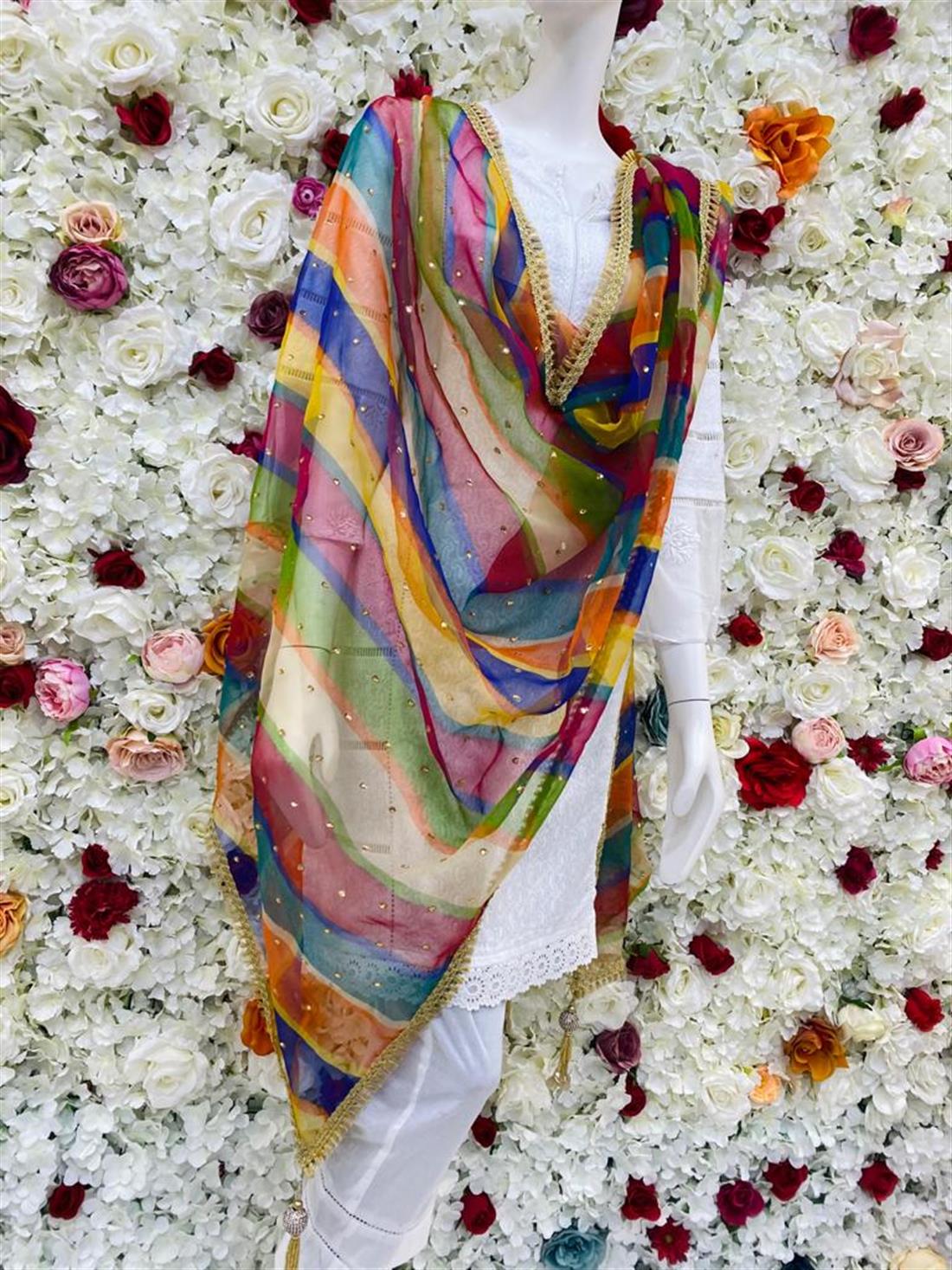Colourful Dupatta-01 Organza Shawls and Scarves