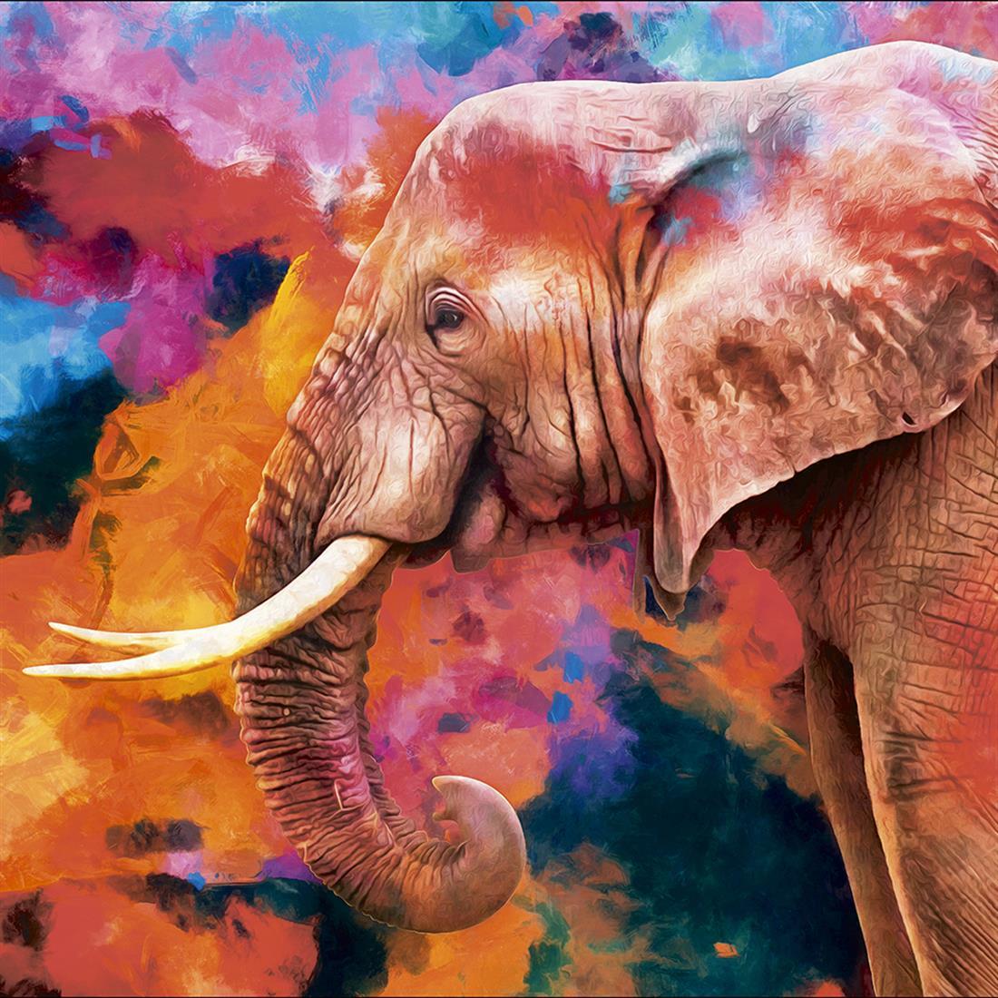Multicolour Digital Print Linen Elephant
