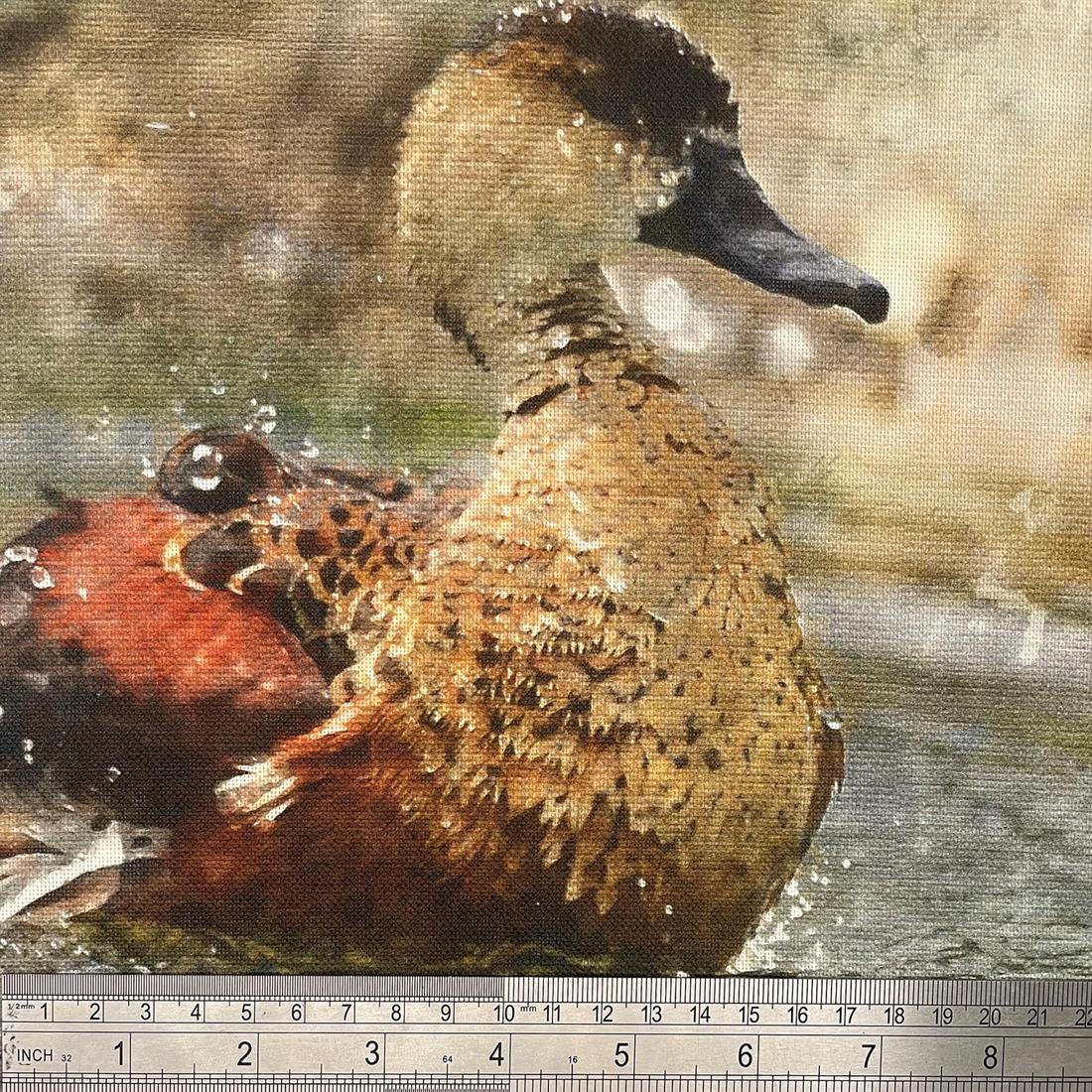 Cushion Panels and All Overs