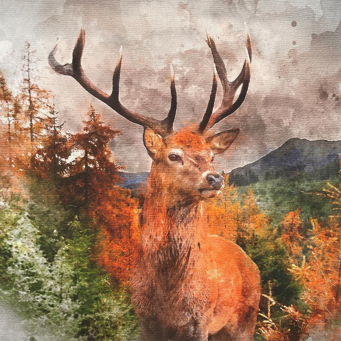 Cushion Panels and All Overs