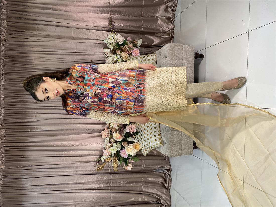 Multicolour Embroidered Organza Ladies 3 Piece Suit