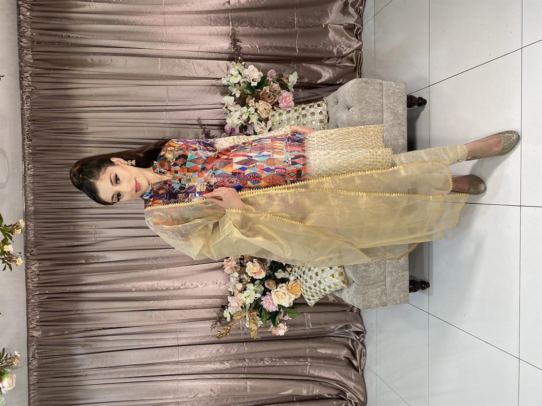 Multicolour Embroidered Organza Ladies 3 Piece Suit