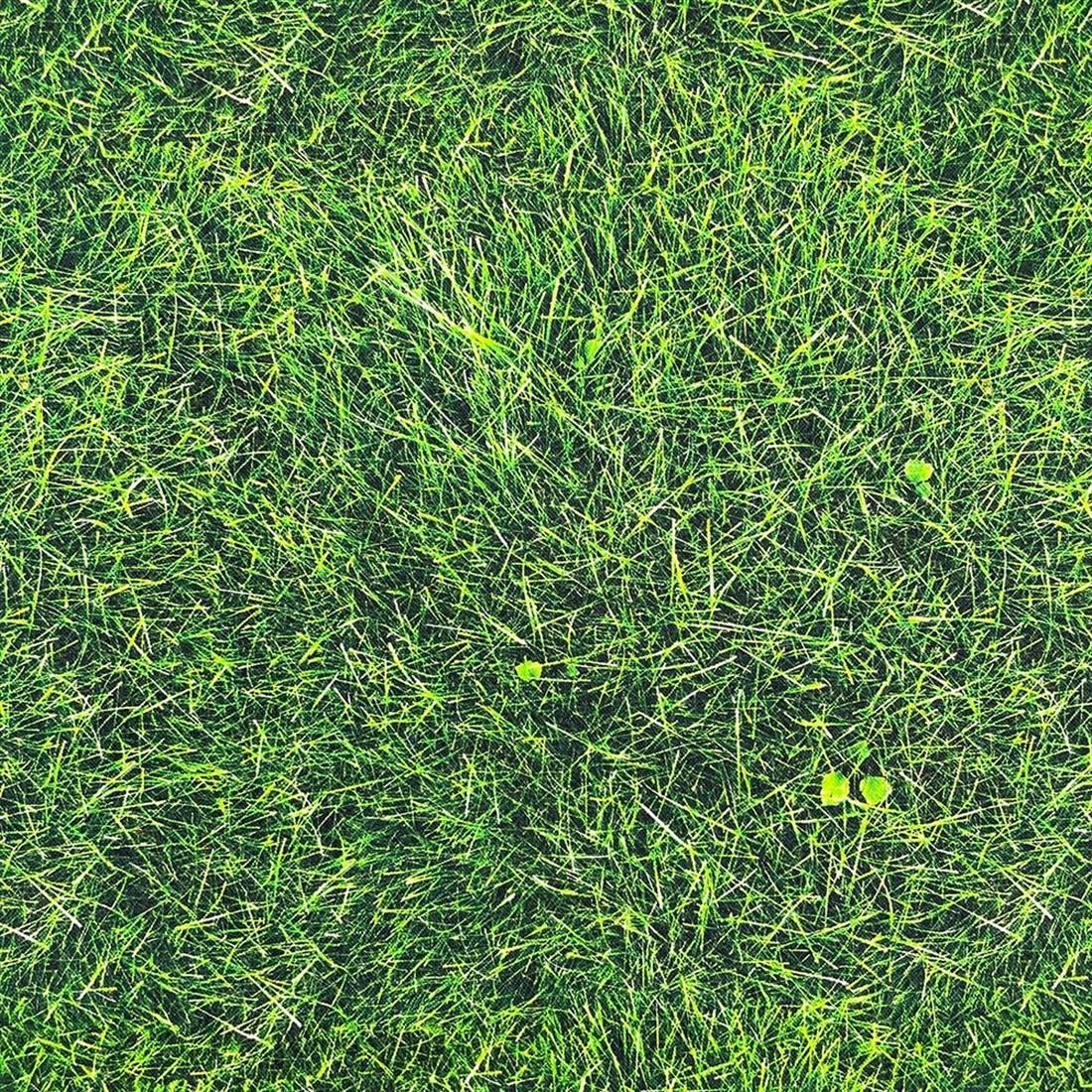 Green Printed Cotton Fabrics