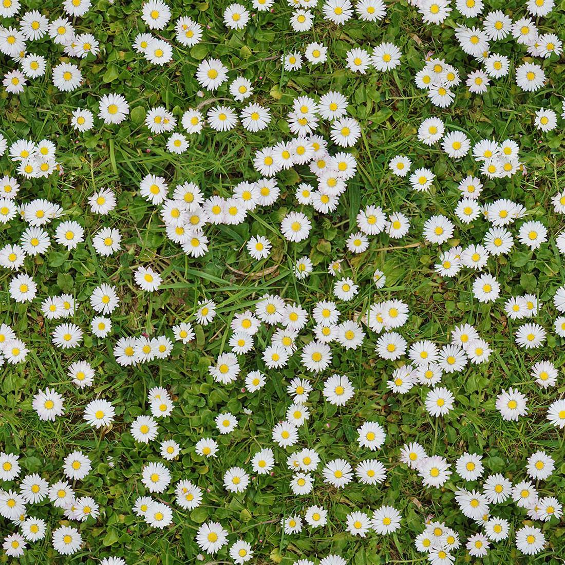 Green Printed Cotton Fabrics
