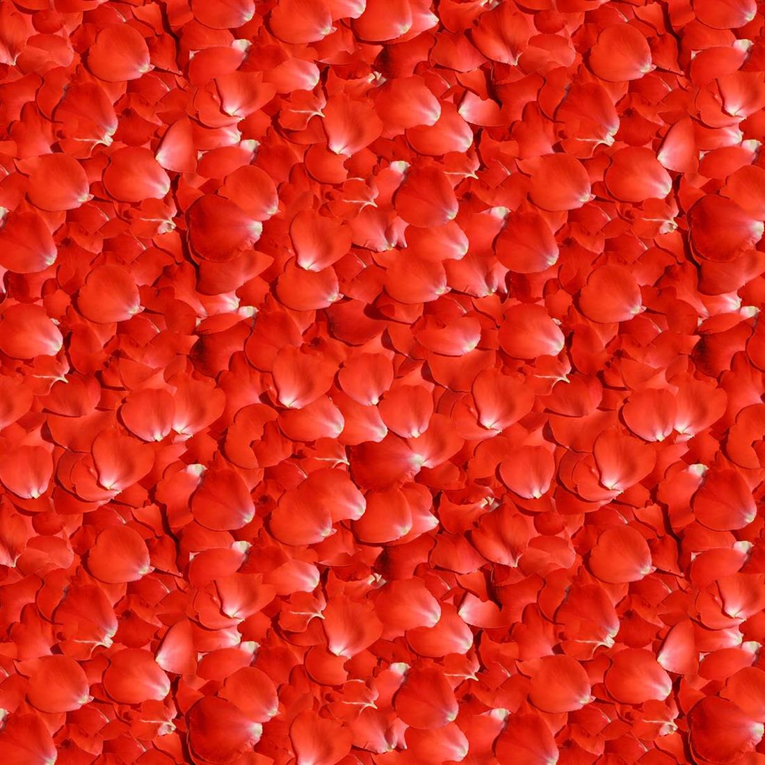 Red Printed Cotton Fabrics