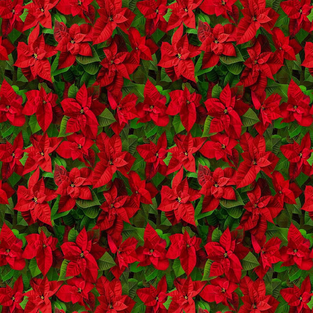 Cotton Christmas