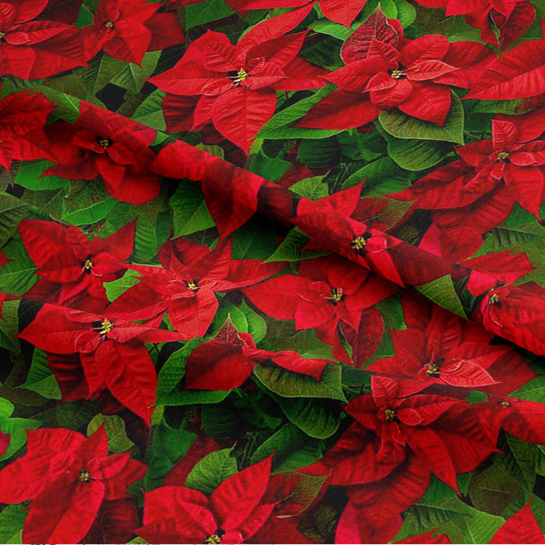 Cotton Christmas