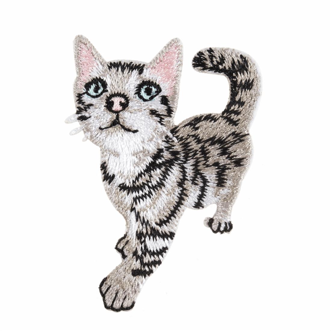 Kitten