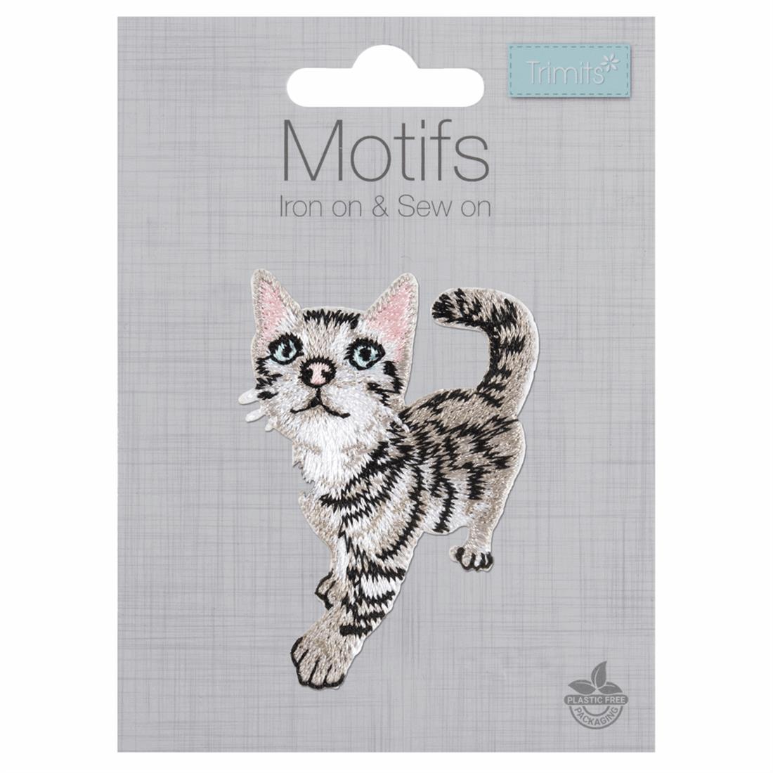 Kitten