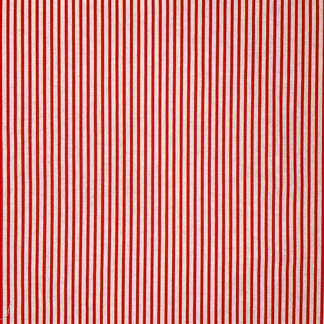 Printed Canvas Fabric