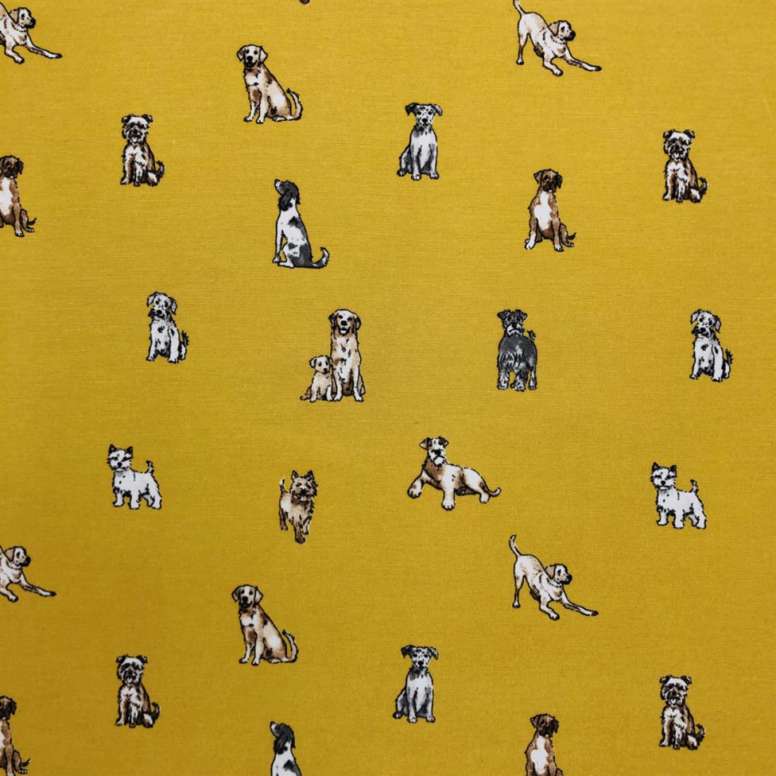 Printed Canvas Fabric