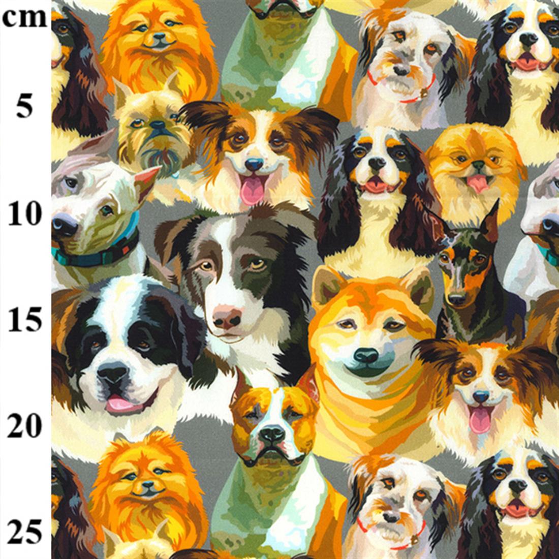 Printed Cotton Fabrics
