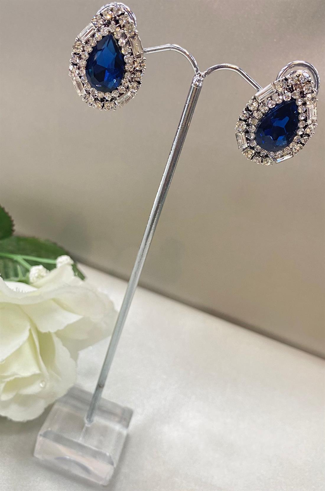 Silver & Blue Earrings