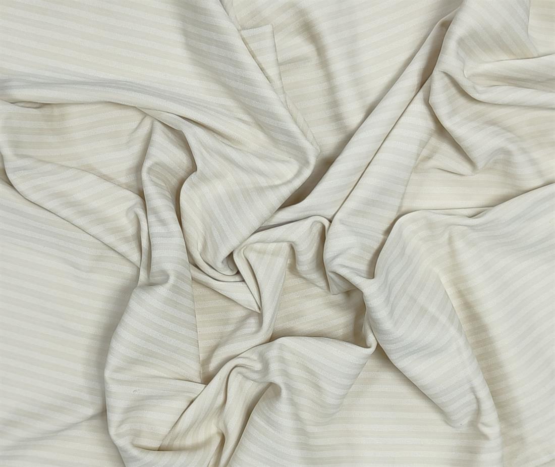 CR Stripe Jersey Fabric