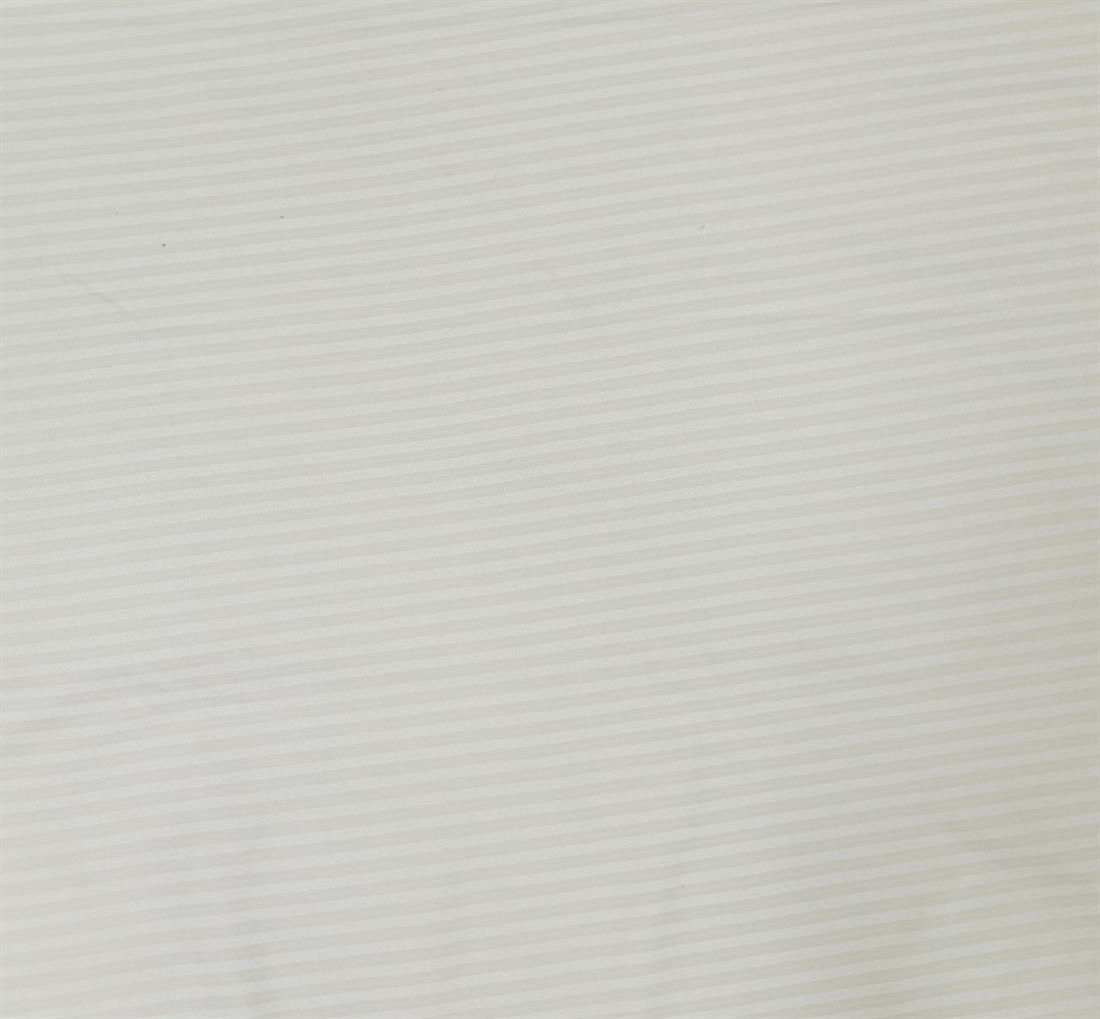 CR Stripe Jersey Fabric