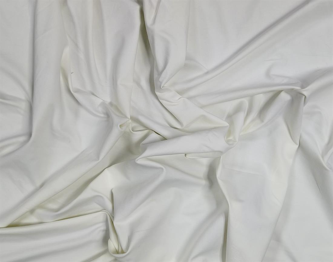 Ivory Cotton Spendex Jersey Fabric