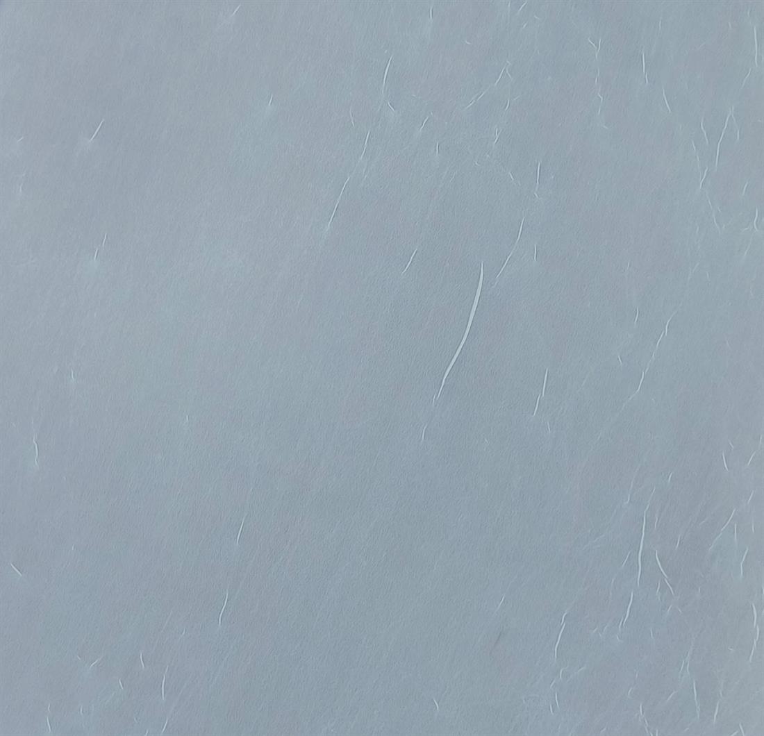 Ligrey Polyester Cheffon Fabric