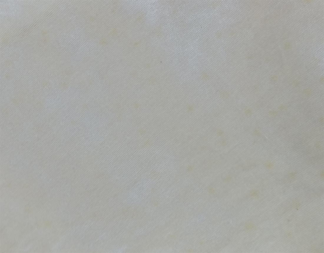 CR Cotton Velvet Fabric