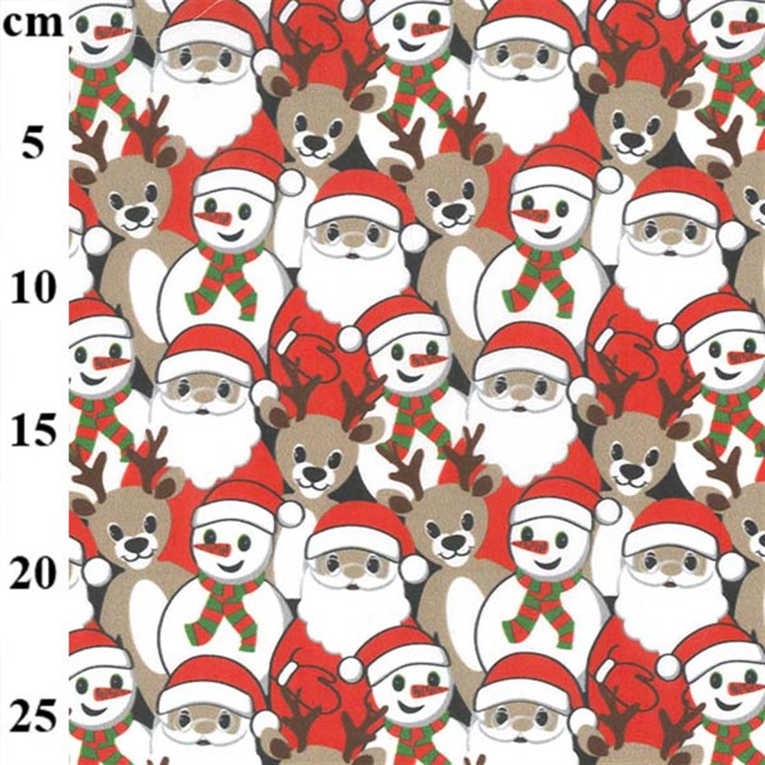 Printed Cotton Fabrics