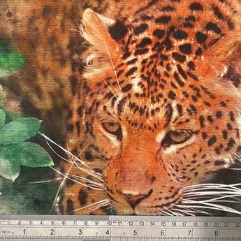 Leopard Canvas Art Panel