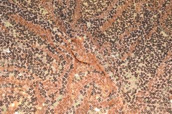 Nude Net Sequined Fabrics