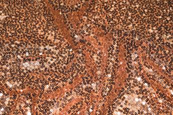 TAN Net Sequined Fabrics